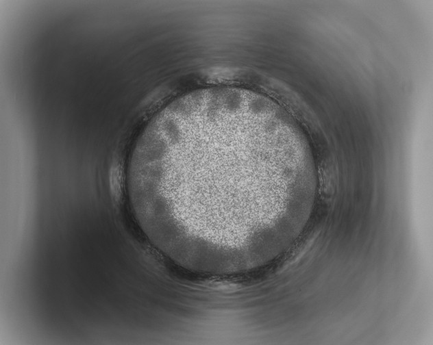 X0000101700648200807311433