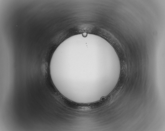 X0000101700649200807311433
