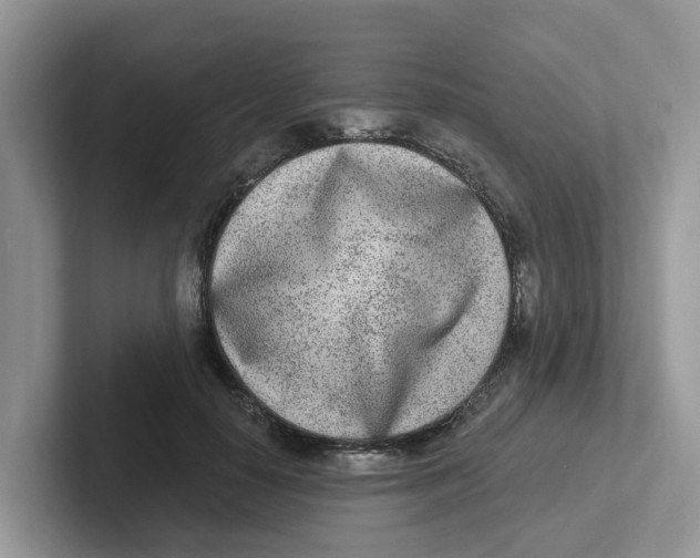 X0000101700650200807311433