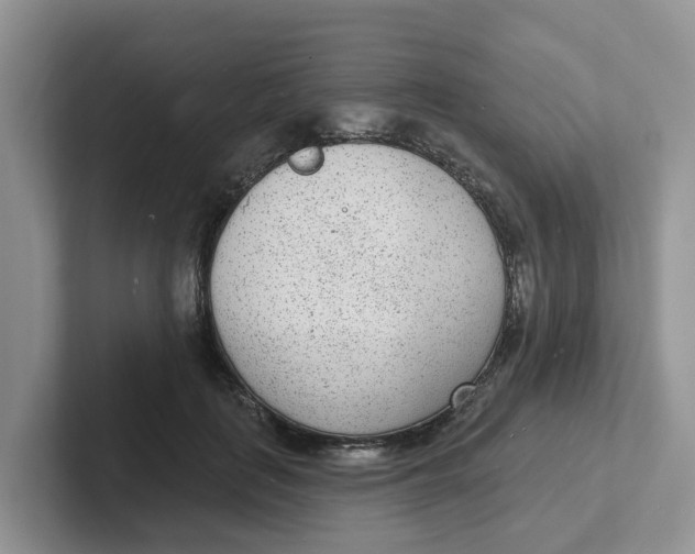 X0000101700651200807311433