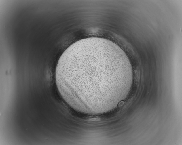 X0000101700653200807311433