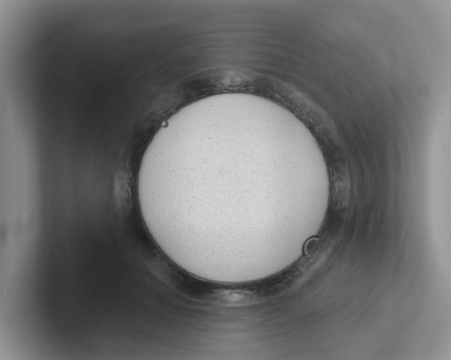 X0000101700654200807311433