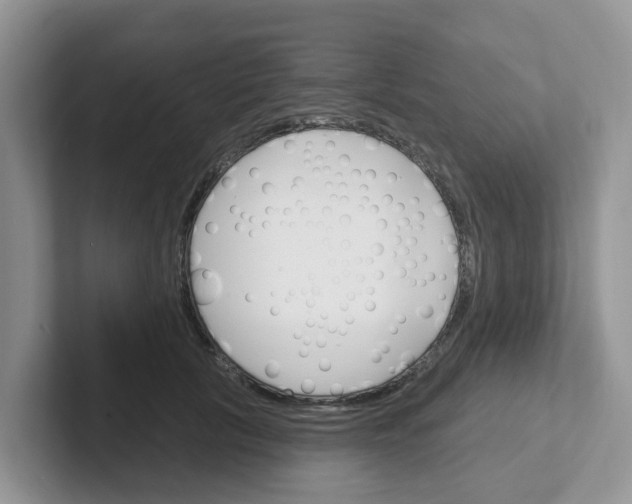 X0000101700657200807311433
