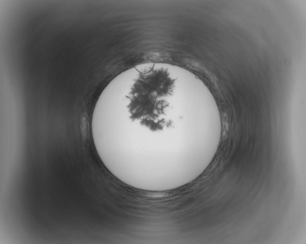 X0000101700659200807311433