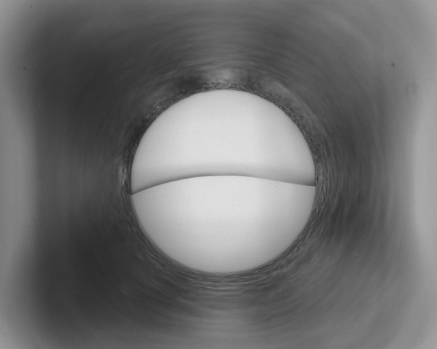 X0000101700660200807311433