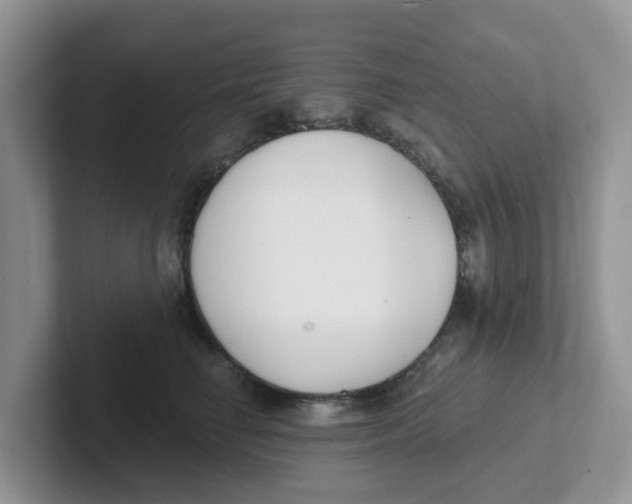 X0000101700662200807311433