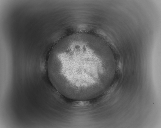 X0000101700663200807311433