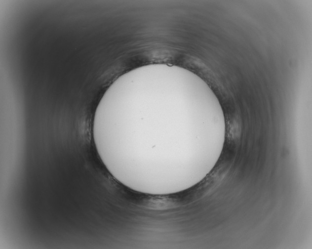 X0000101700666200807311433