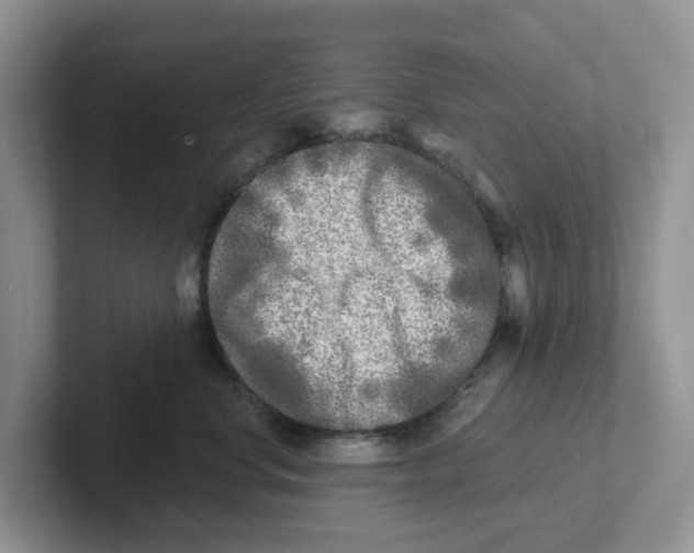 X0000101700668200807311433
