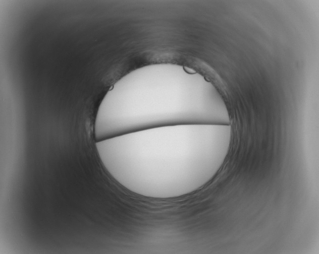 X0000101700669200807311433