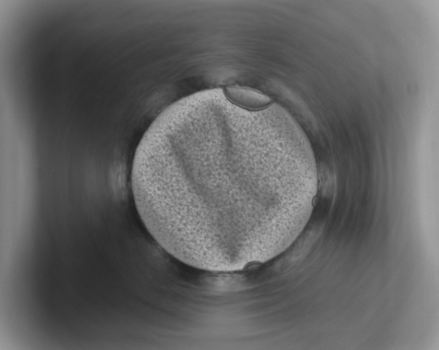 X0000101700670200807311433