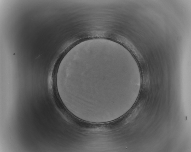 X0000101700674200807311432