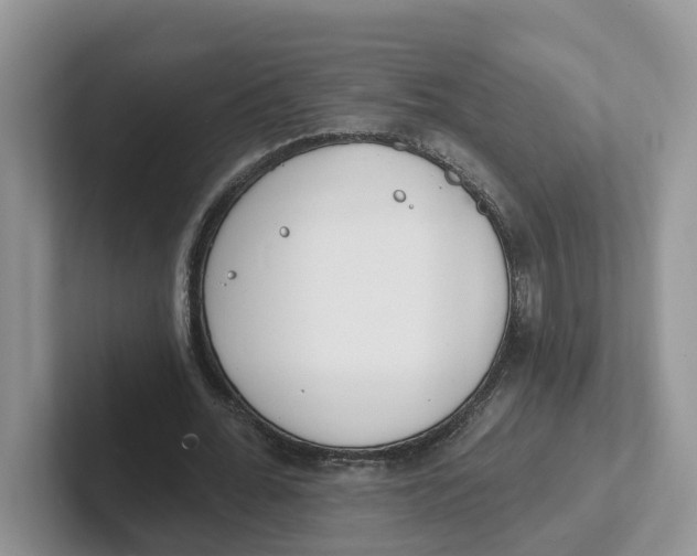 X0000101700676200807311432