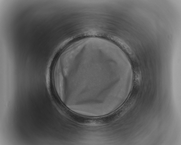 X0000101700678200807311432