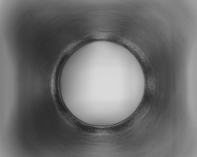 X0000101700682200807311432