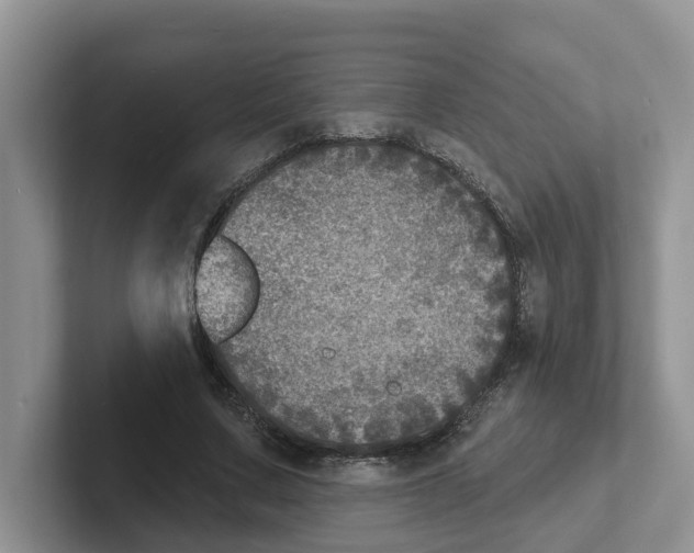 X0000101700683200807311432