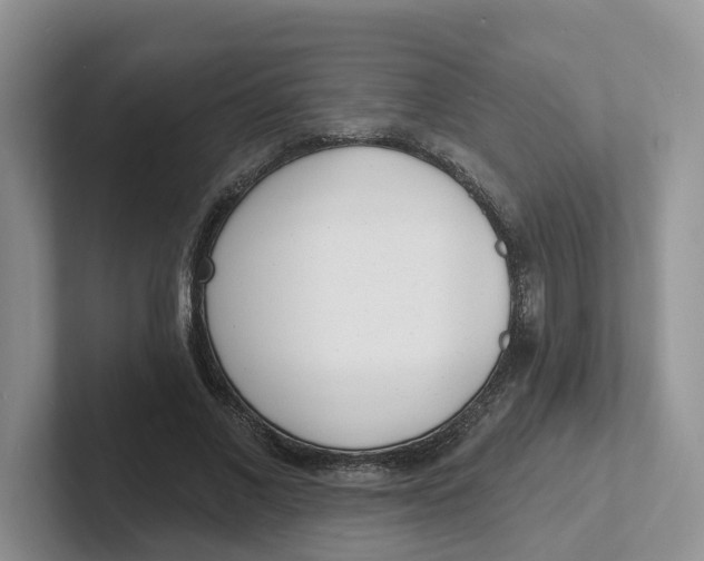 X0000101700685200807311432