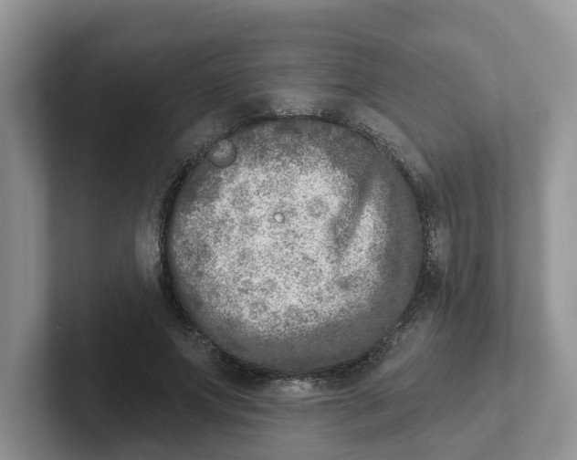 X0000101700687200807311432