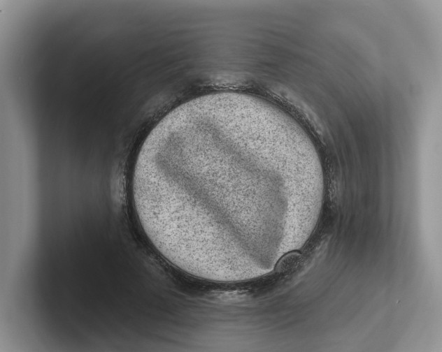 X0000101700689200807311432