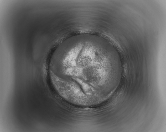 X0000101700691200807311432