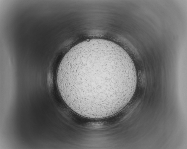 X0000101700692200807311432