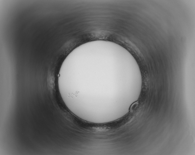 X0000101700693200807311432