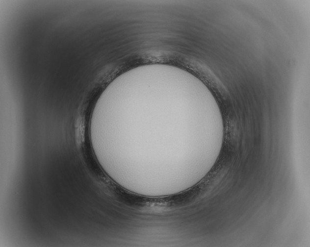 X0000101700694200807311432