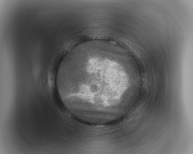 X0000101700695200807311432