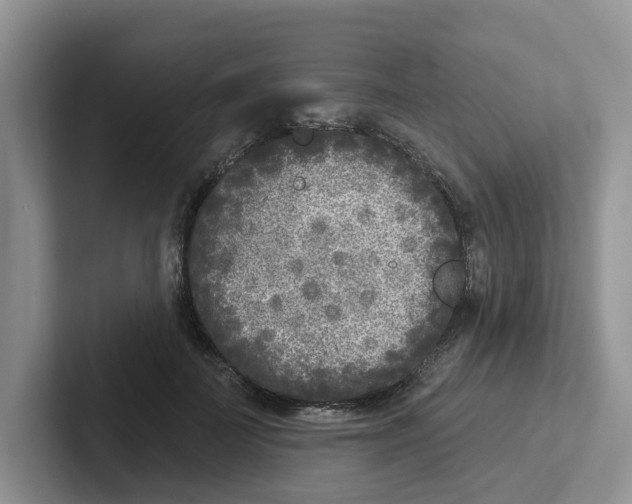 X0000101700699200807311432