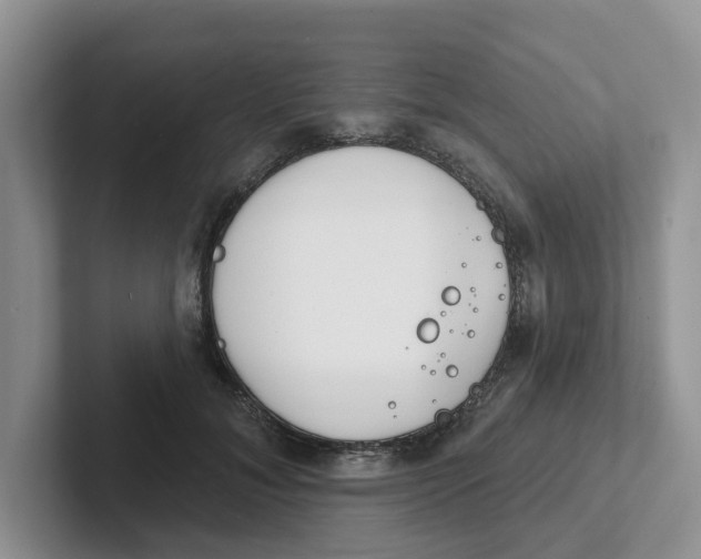 X0000101700700200807311432