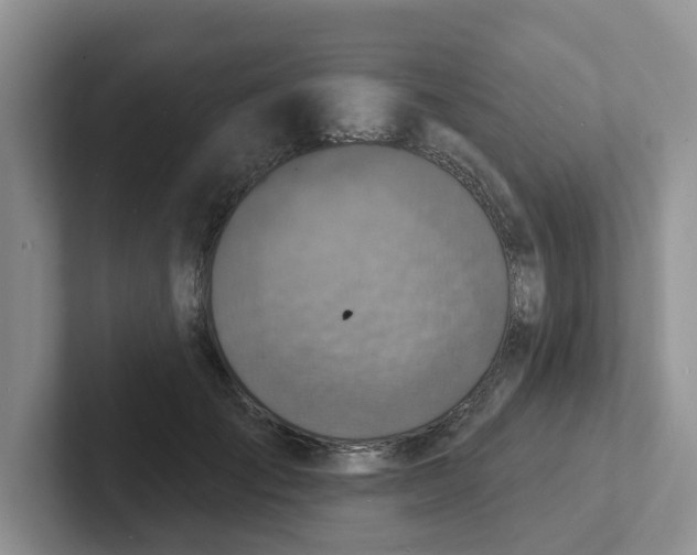 X0000101700701200807311432