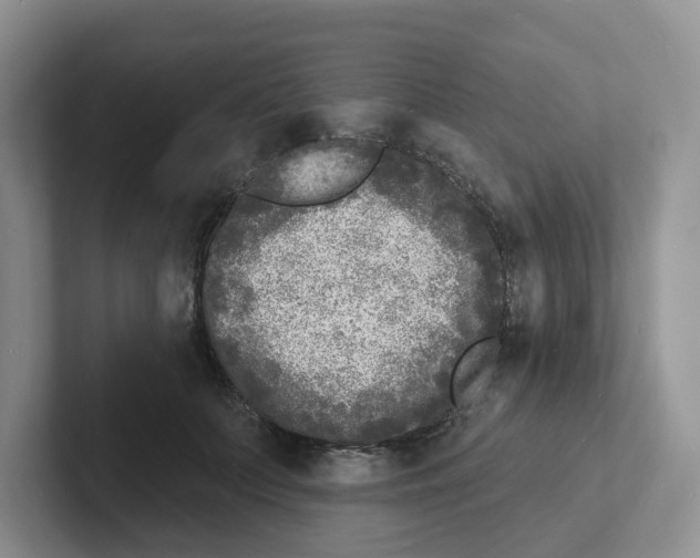 X0000101700703200807311432