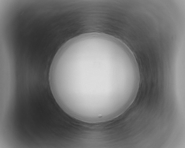 X0000101700705200807311432