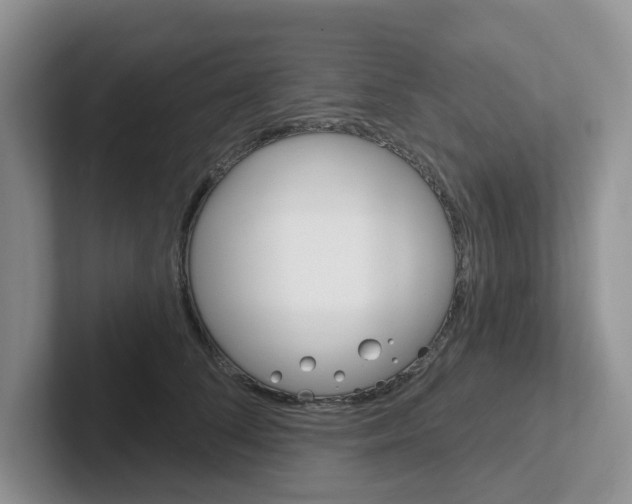 X0000101700708200807311432