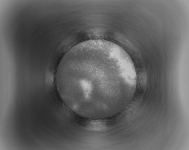 X0000101700709200807311432