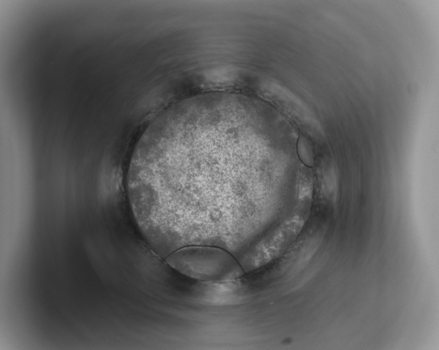 X0000101700711200807311432