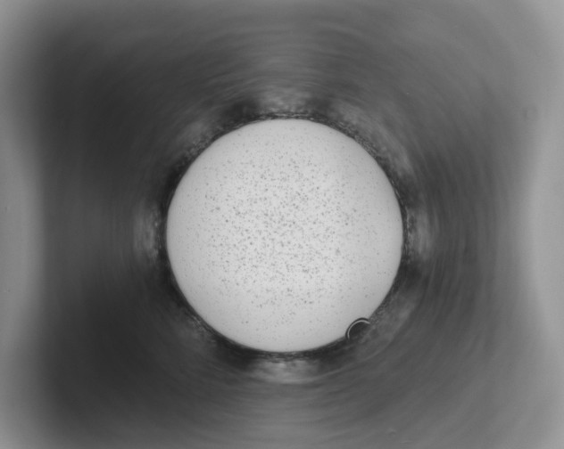 X0000101700712200807311432
