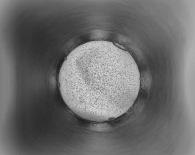 X0000101700716200807311432