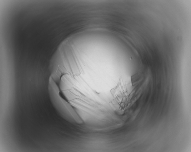 X0000101700717200807311432