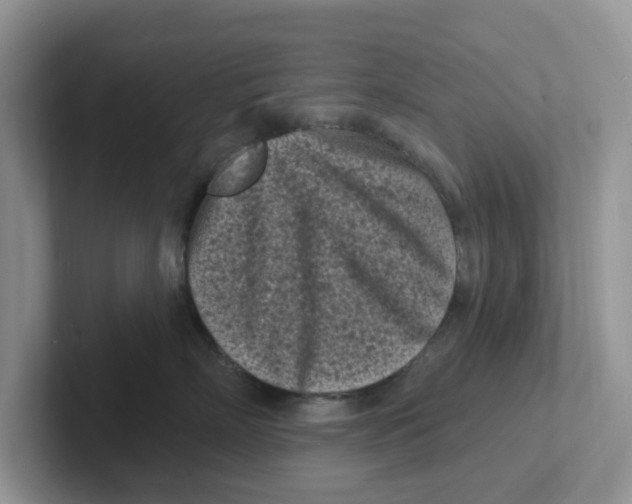 X0000101700718200807311432