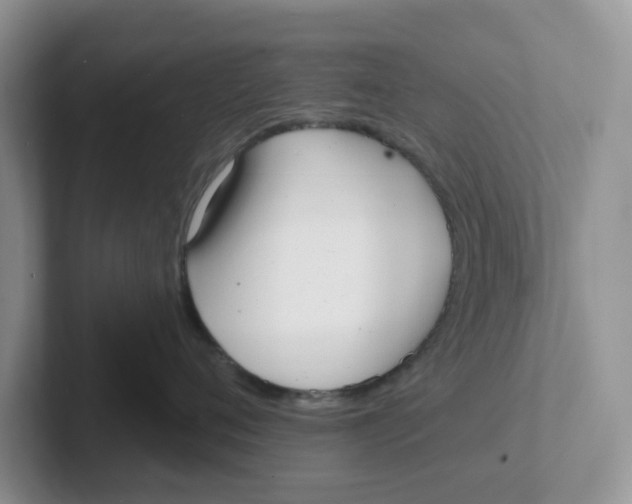 X0000101700720200807311432