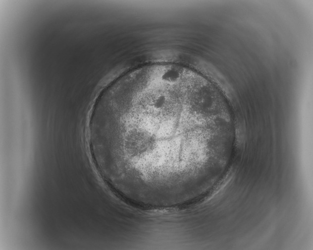 X0000101700721200807311431