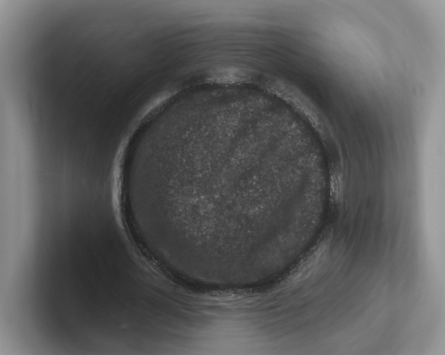 X0000101700724200807311431