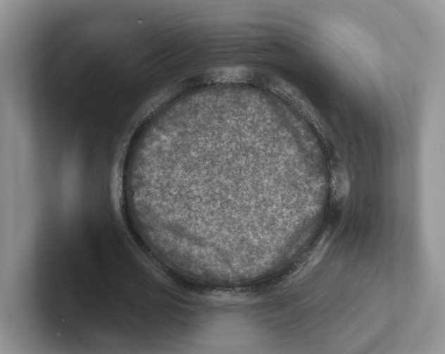 X0000101700725200807311431