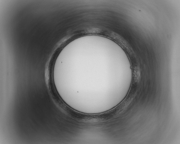 X0000101700726200807311431