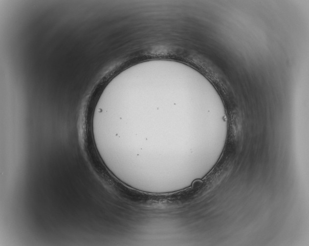 X0000101700728200807311431