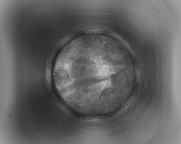 X0000101700729200807311431