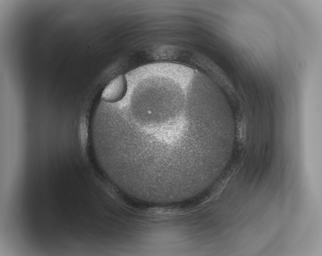 X0000101700733200807311431