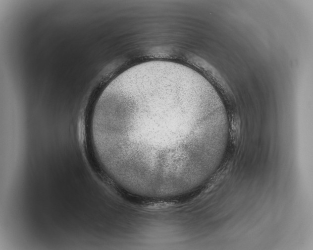 X0000101700734200807311431