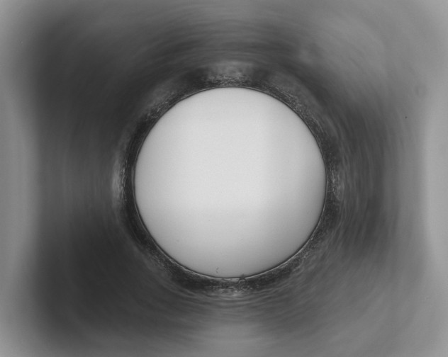 X0000101700735200807311431